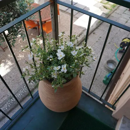 Cristina Genoa